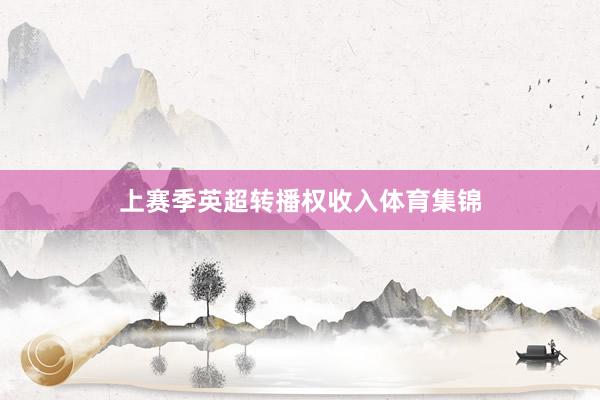 上赛季英超转播权收入体育集锦