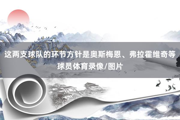 这两支球队的环节方针是奥斯梅恩、弗拉霍维奇等球员体育录像/图片