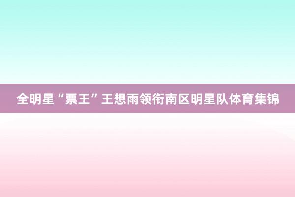 全明星“票王”王想雨领衔南区明星队体育集锦