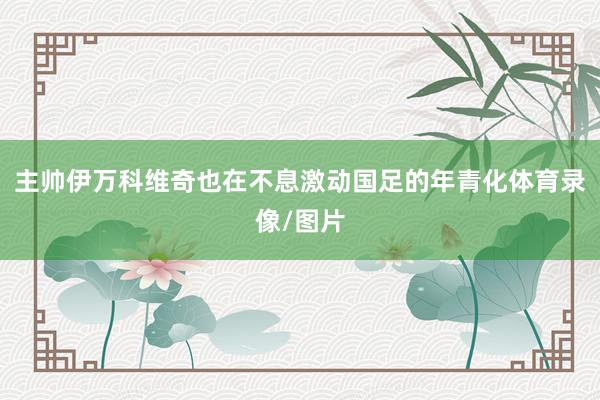 主帅伊万科维奇也在不息激动国足的年青化体育录像/图片