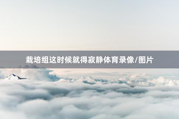 栽培组这时候就得寂静体育录像/图片