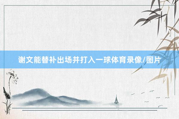 谢文能替补出场并打入一球体育录像/图片