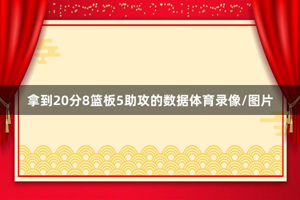 拿到20分8篮板5助攻的数据体育录像/图片