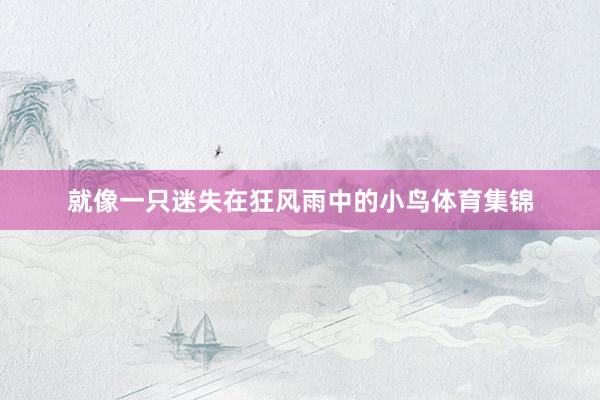 就像一只迷失在狂风雨中的小鸟体育集锦