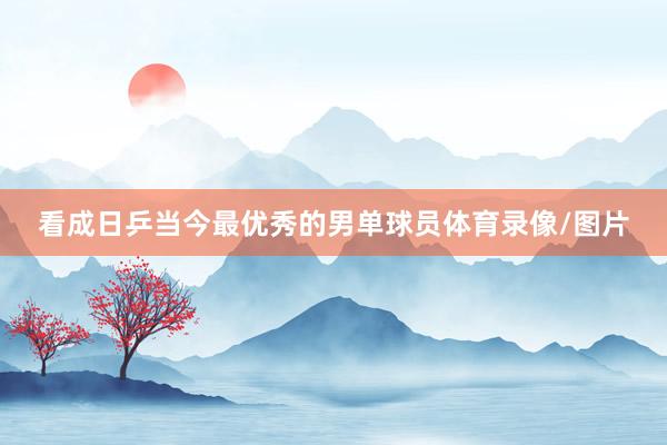看成日乒当今最优秀的男单球员体育录像/图片