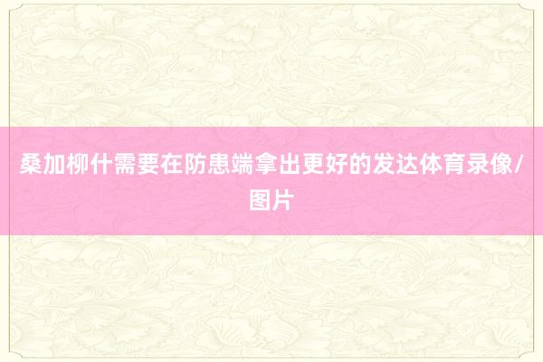 桑加柳什需要在防患端拿出更好的发达体育录像/图片