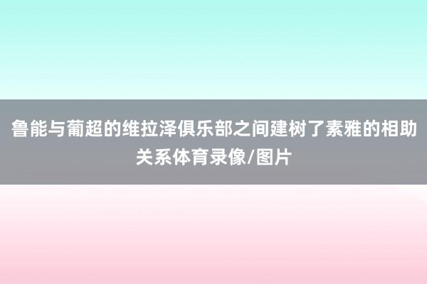 鲁能与葡超的维拉泽俱乐部之间建树了素雅的相助关系体育录像/图片