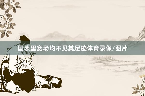 国表里赛场均不见其足迹体育录像/图片
