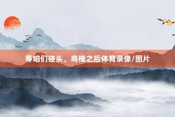 等咱们碰头、商榷之后体育录像/图片