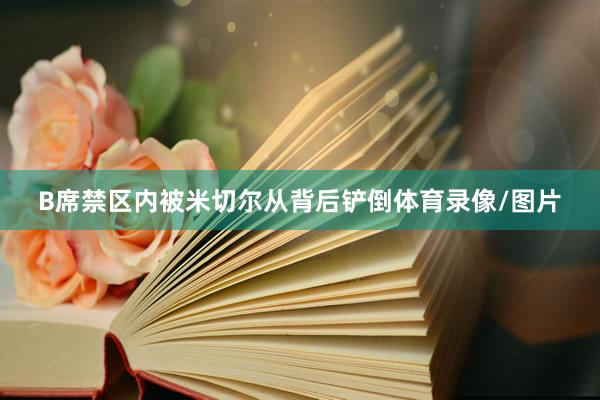 B席禁区内被米切尔从背后铲倒体育录像/图片
