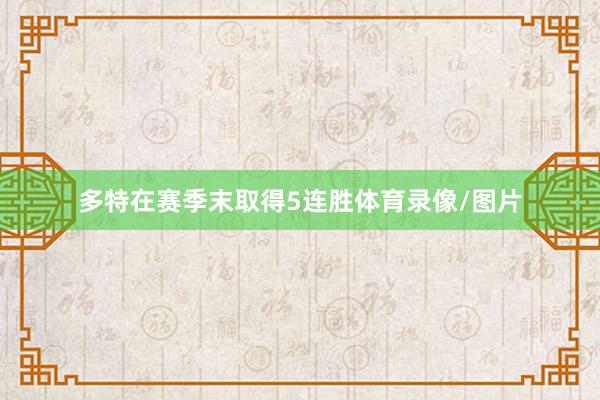 多特在赛季末取得5连胜体育录像/图片