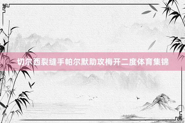 切尔西裂缝手帕尔默助攻梅开二度体育集锦