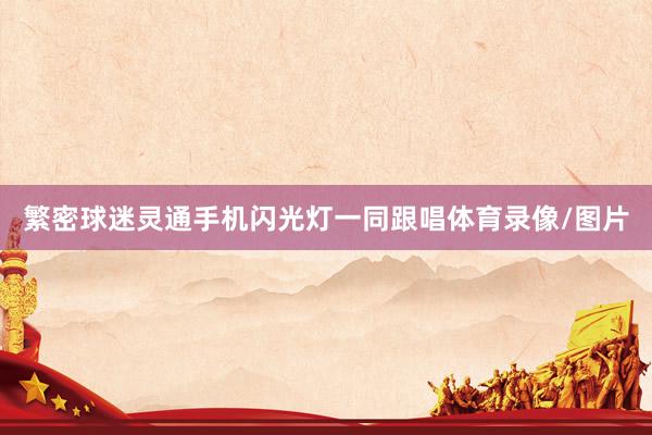 繁密球迷灵通手机闪光灯一同跟唱体育录像/图片
