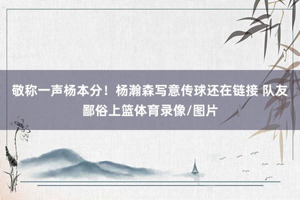 敬称一声杨本分！杨瀚森写意传球还在链接 队友鄙俗上篮体育录像/图片