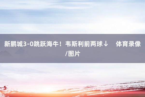 新鹏城3-0跳跃海牛！韦斯利前两球↓    体育录像/图片