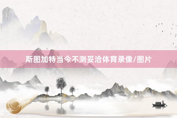 斯图加特当今不测妥洽体育录像/图片