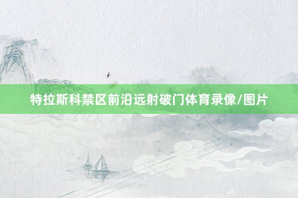 特拉斯科禁区前沿远射破门体育录像/图片