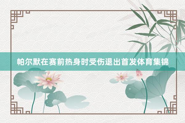 帕尔默在赛前热身时受伤退出首发体育集锦