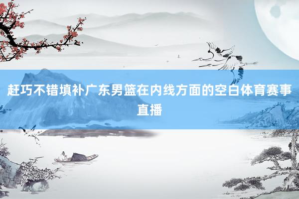 赶巧不错填补广东男篮在内线方面的空白体育赛事直播