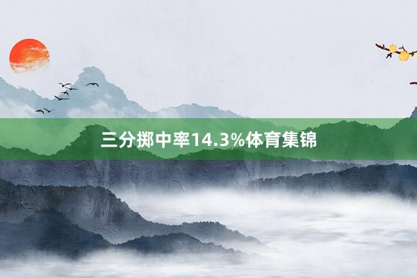 三分掷中率14.3%体育集锦