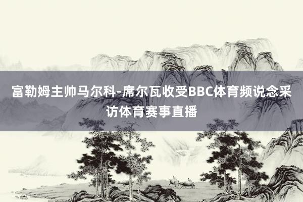 富勒姆主帅马尔科-席尔瓦收受BBC体育频说念采访体育赛事直播