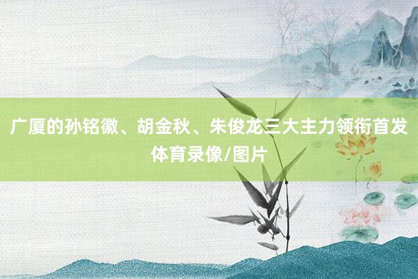 广厦的孙铭徽、胡金秋、朱俊龙三大主力领衔首发体育录像/图片