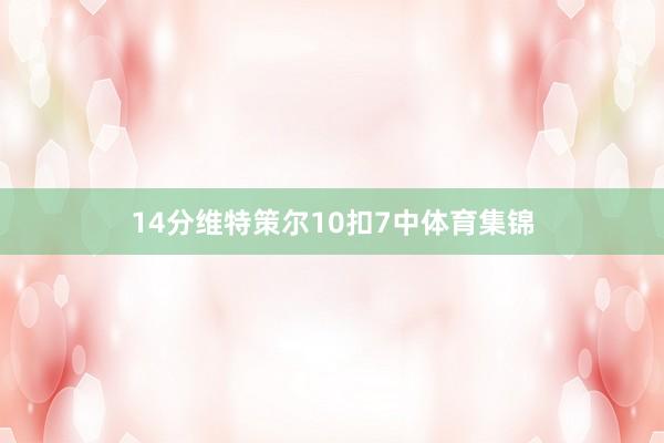 14分维特策尔10扣7中体育集锦