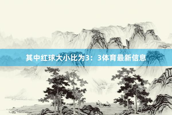 其中红球大小比为3:3体育最新信息