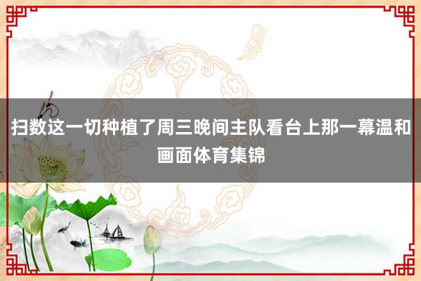 扫数这一切种植了周三晚间主队看台上那一幕温和画面体育集锦