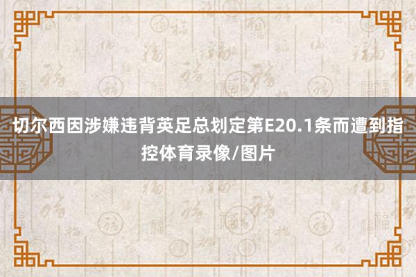 切尔西因涉嫌违背英足总划定第E20.1条而遭到指控体育录像/图片